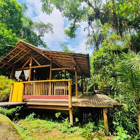 Eco Chales Caminho Das Aguas Barra Grande  Dış mekan fotoğraf