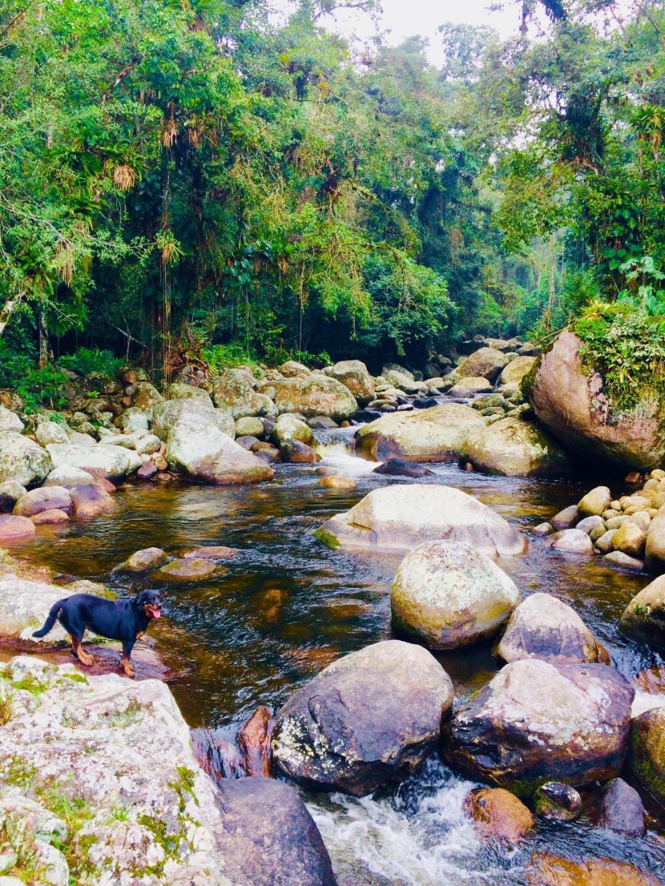 Eco Chales Caminho Das Aguas Barra Grande  Dış mekan fotoğraf